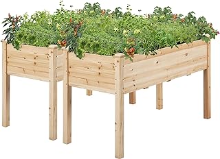 Raised Garden Beds