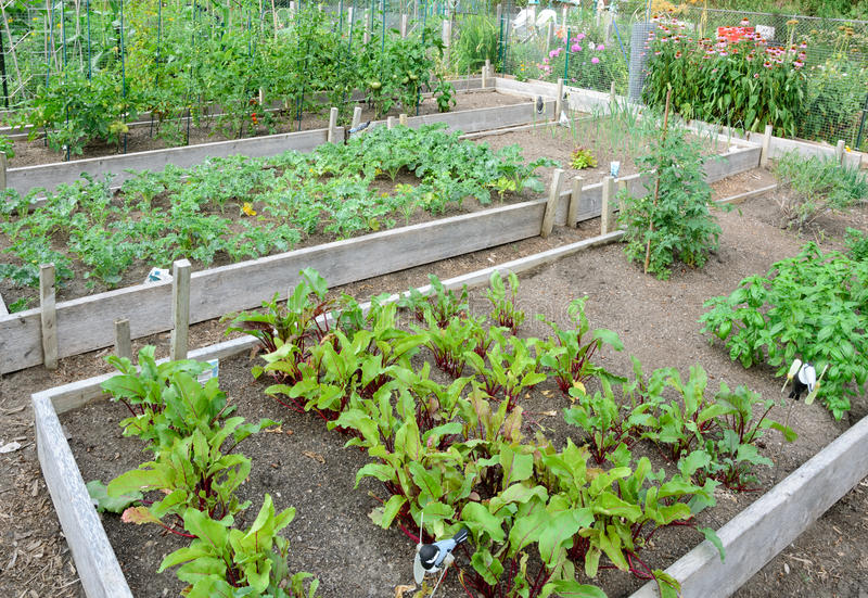 Awesome garden tools for Urban Gardeners