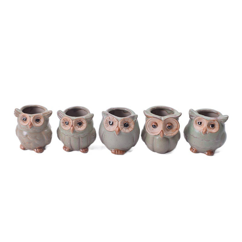 Owl Shape Garden Flower Pot Desk Plant Pot Creative Design