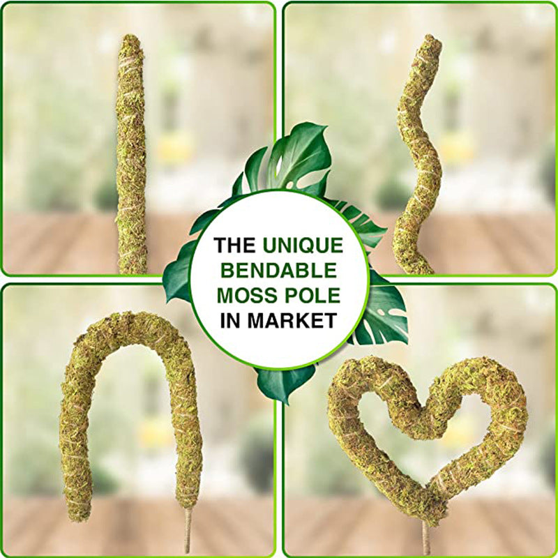 Shapeable Moss Stick Potted Plant Climbing