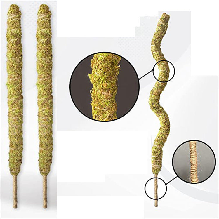 Shapeable Moss Stick Potted Plant Climbing