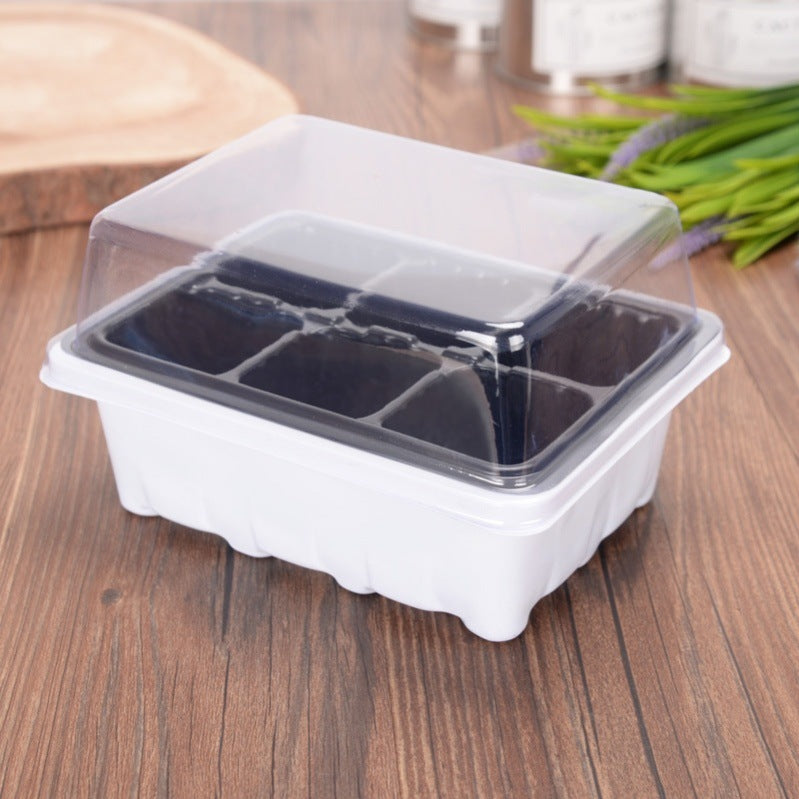 Seedling pots with fleshy leaves