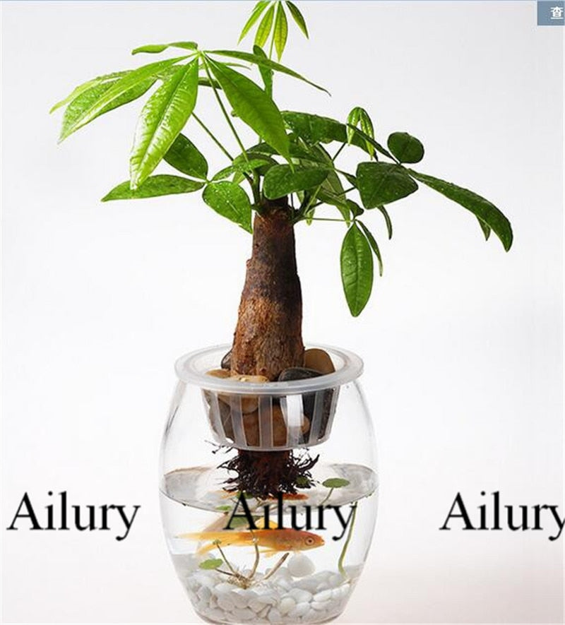 PP Hydroponics Plants Dedicated Solid Root Colonization Basket Vase,Soilless Cultivation Cup Water Garden Aquarium Container