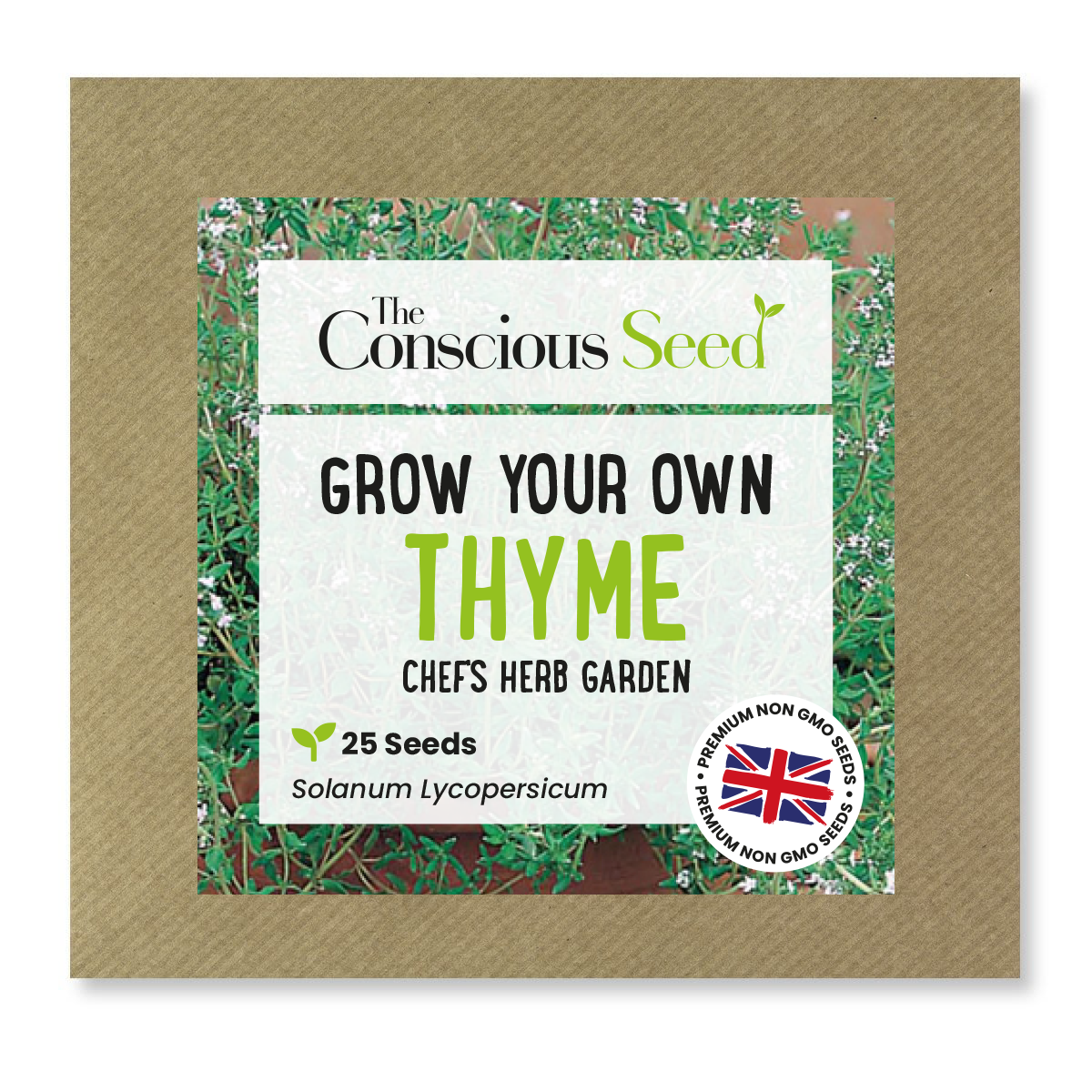 Thyme - 25 Premium Seeds-0