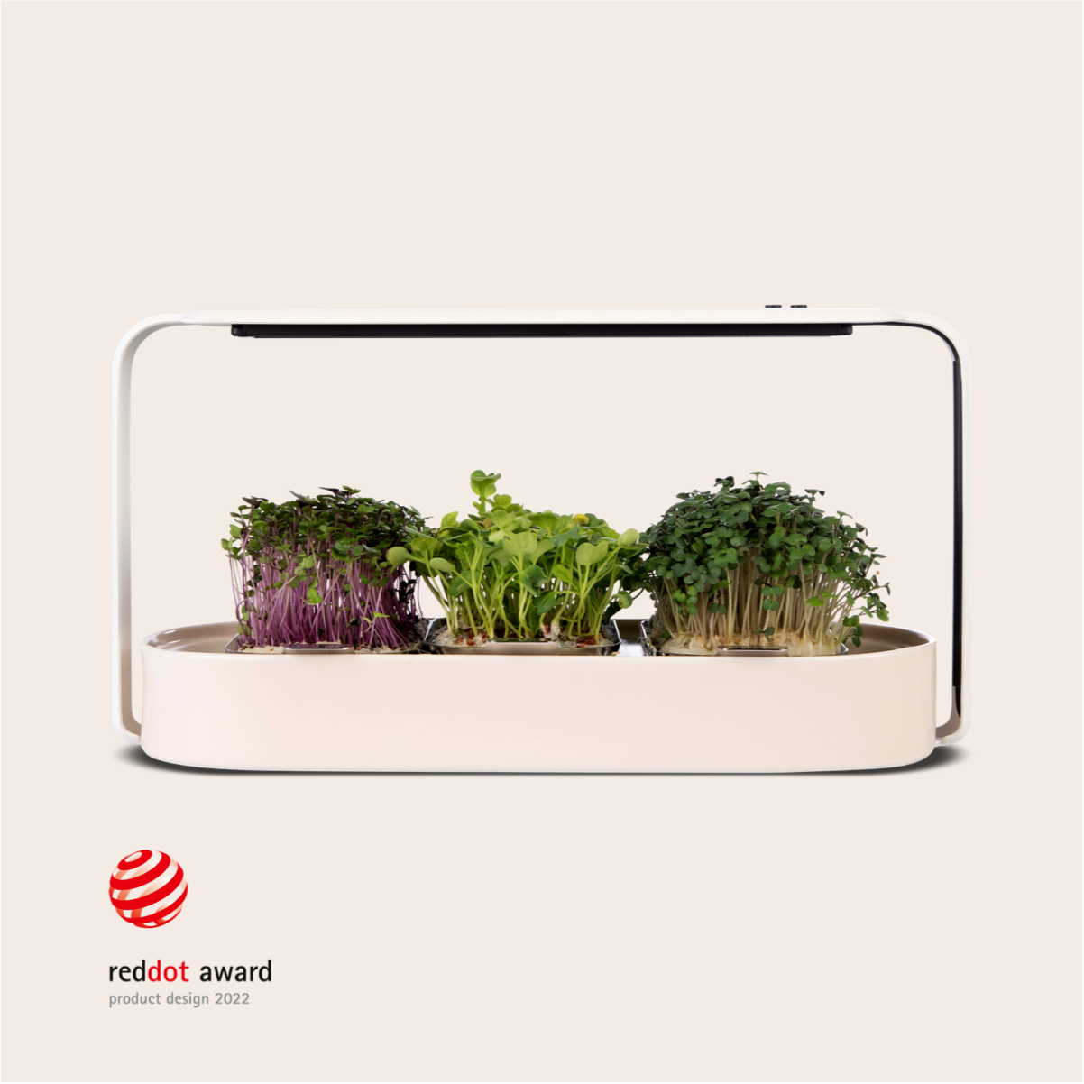 ingarden (bundle offer)