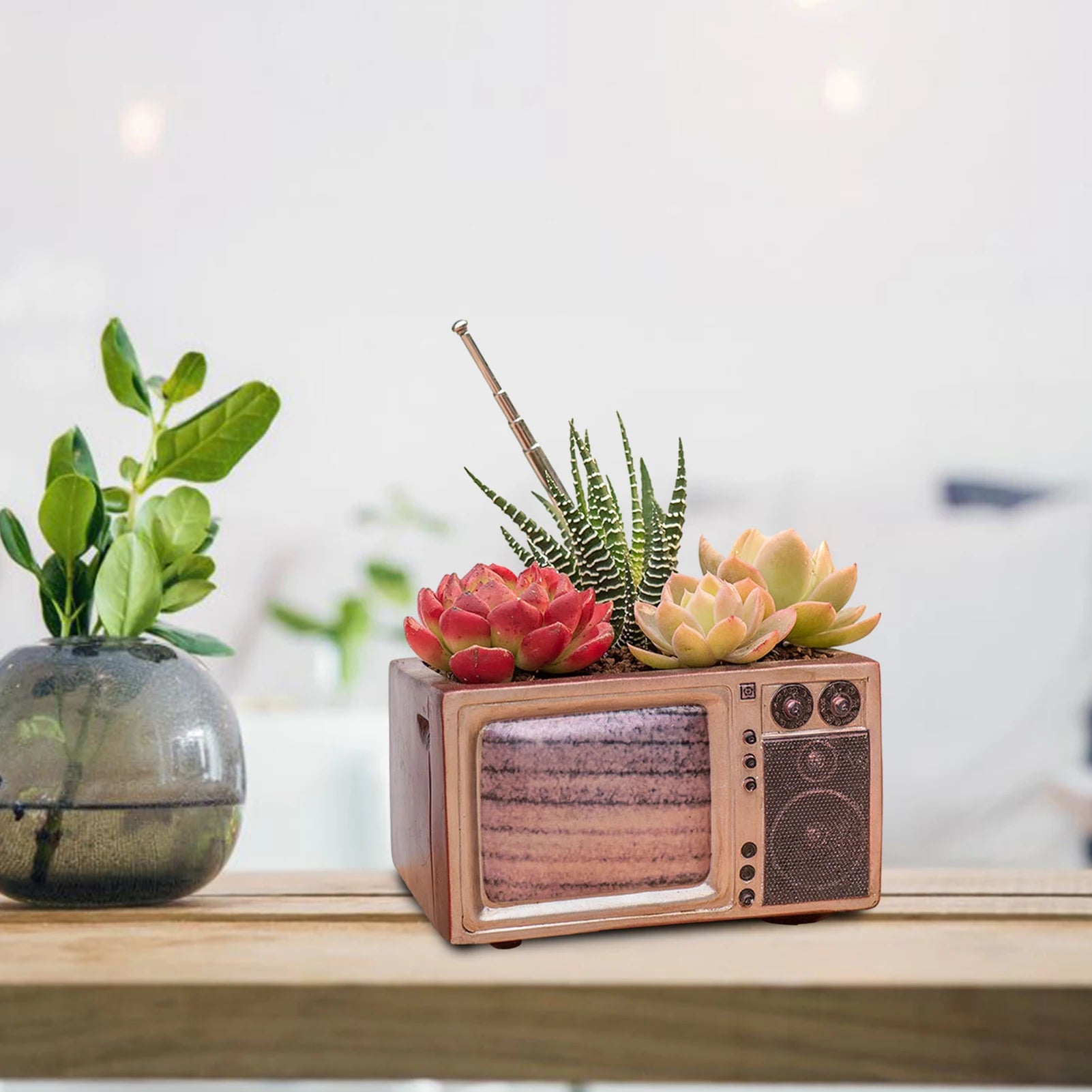 Innovative Flower Pot Retro Radio-Shaped Multi-functional Planter Home Decoration Garden Desktop Classic Ornament for Succulent