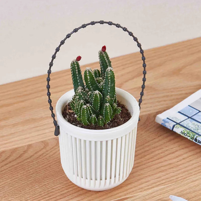 Plant Hangings Basket for Succulents Wall Flower Pots Desktops/Hangings Plant Hanger Garden Household Home Decors flower pot