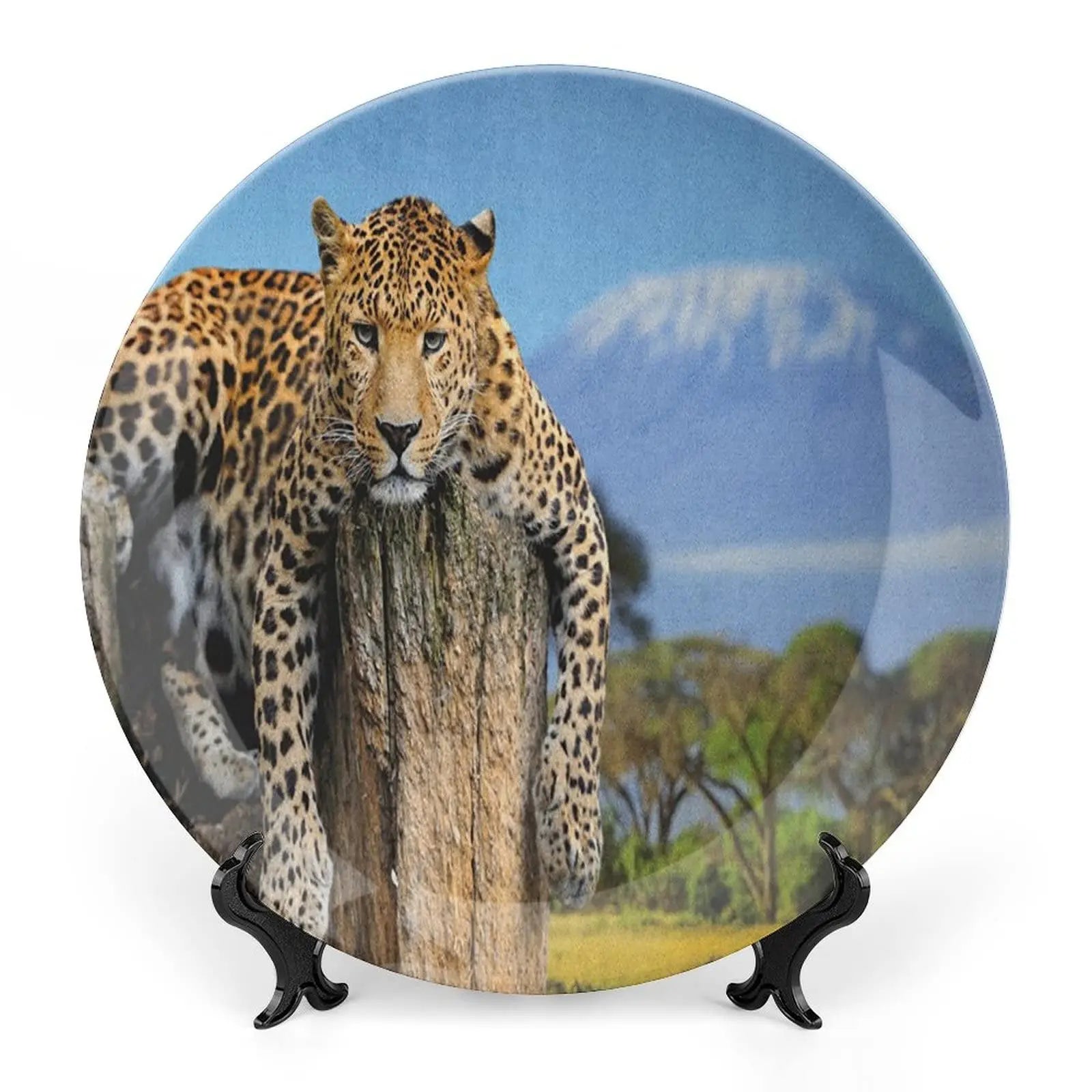 Leopard Print Porcelain Plate, African Pattern Print Ceramic Wall Hanging Decor Accessory for Dining Table Tabletop Home Decor