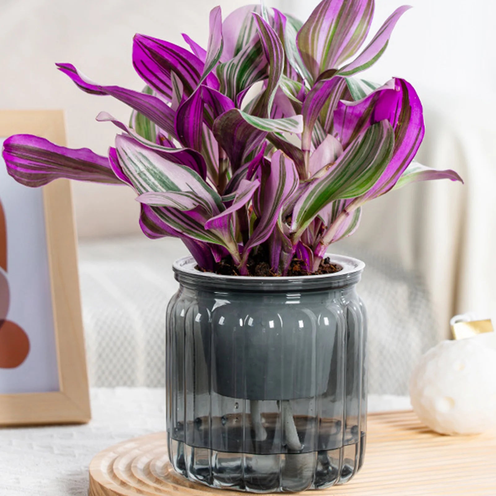 Elegant Self Watering Planter Delicate Modern Home Self Watering Flowerpot for Garden Enthusiast Lover Gift