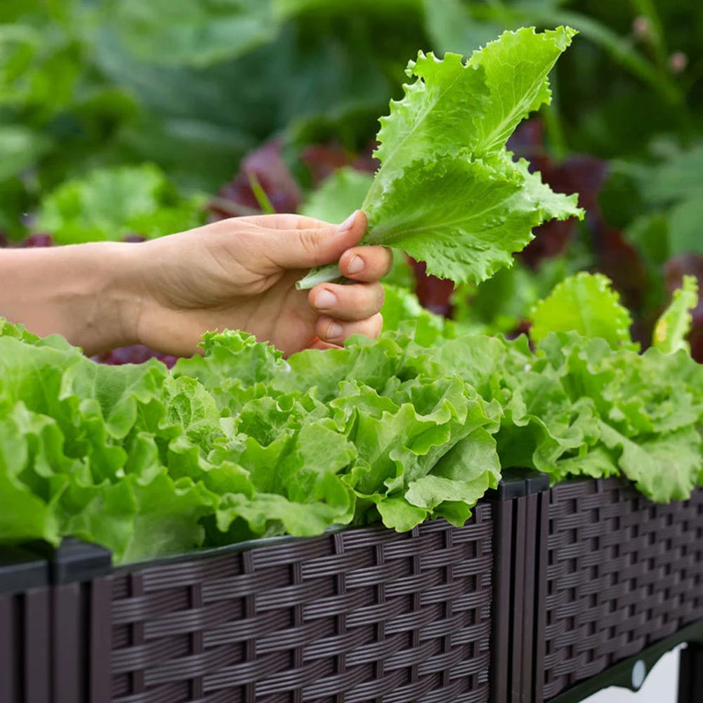 Plastic Raised Garden Bed with Leg Planter Box with Drain Hole Planting Container Elevated Propagation Box Balcony Vegetable Pot