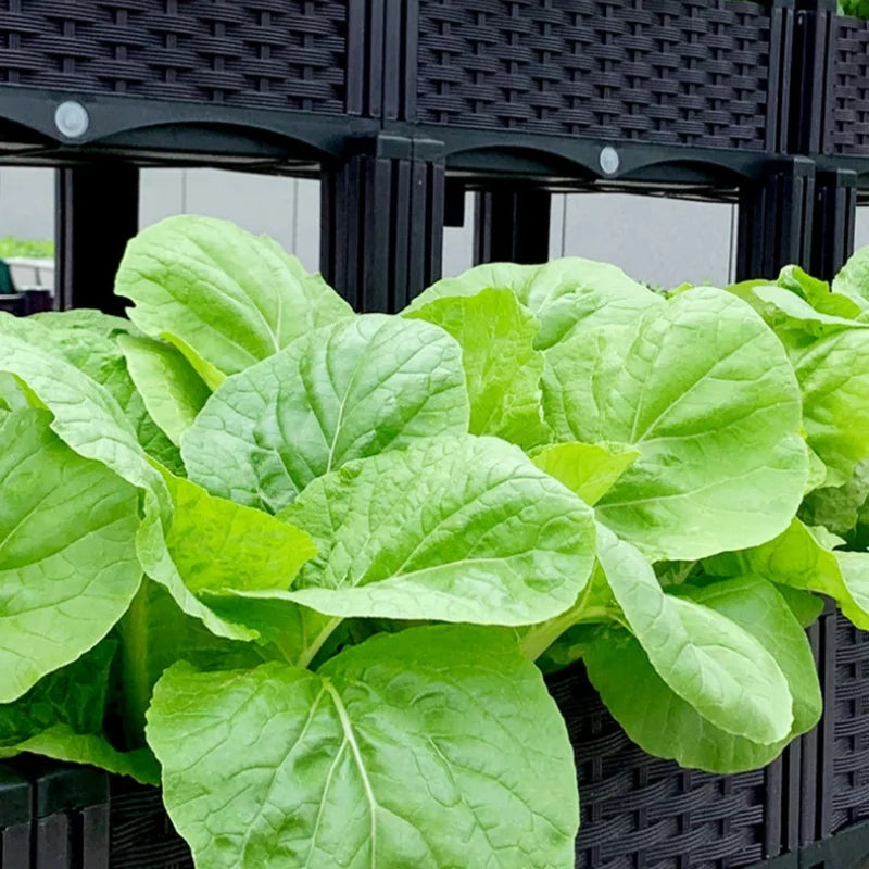 Garden And Balcony Large Veg Planting Box Assembled Reusable Square Flower Grow Pot Home Courtyard Planting Planters Equipment