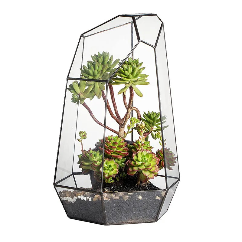 Home Garden Decoration Glass Planter Handmade Irregular Large Flower Pot 16inches Tall Geometric Glass Terrarium or Air Plants
