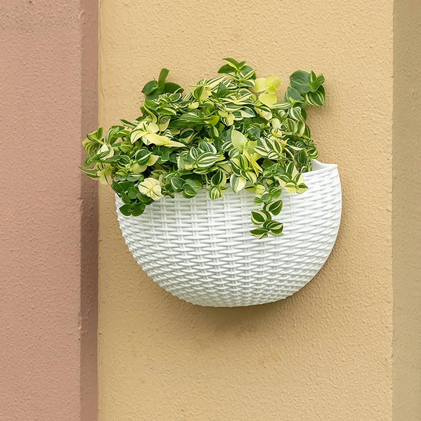 Semi-circular Flower Pot Wall-mounted No-punching Flower Basket Garden Planter Hanging Flowerpot Self watering For Home Decor