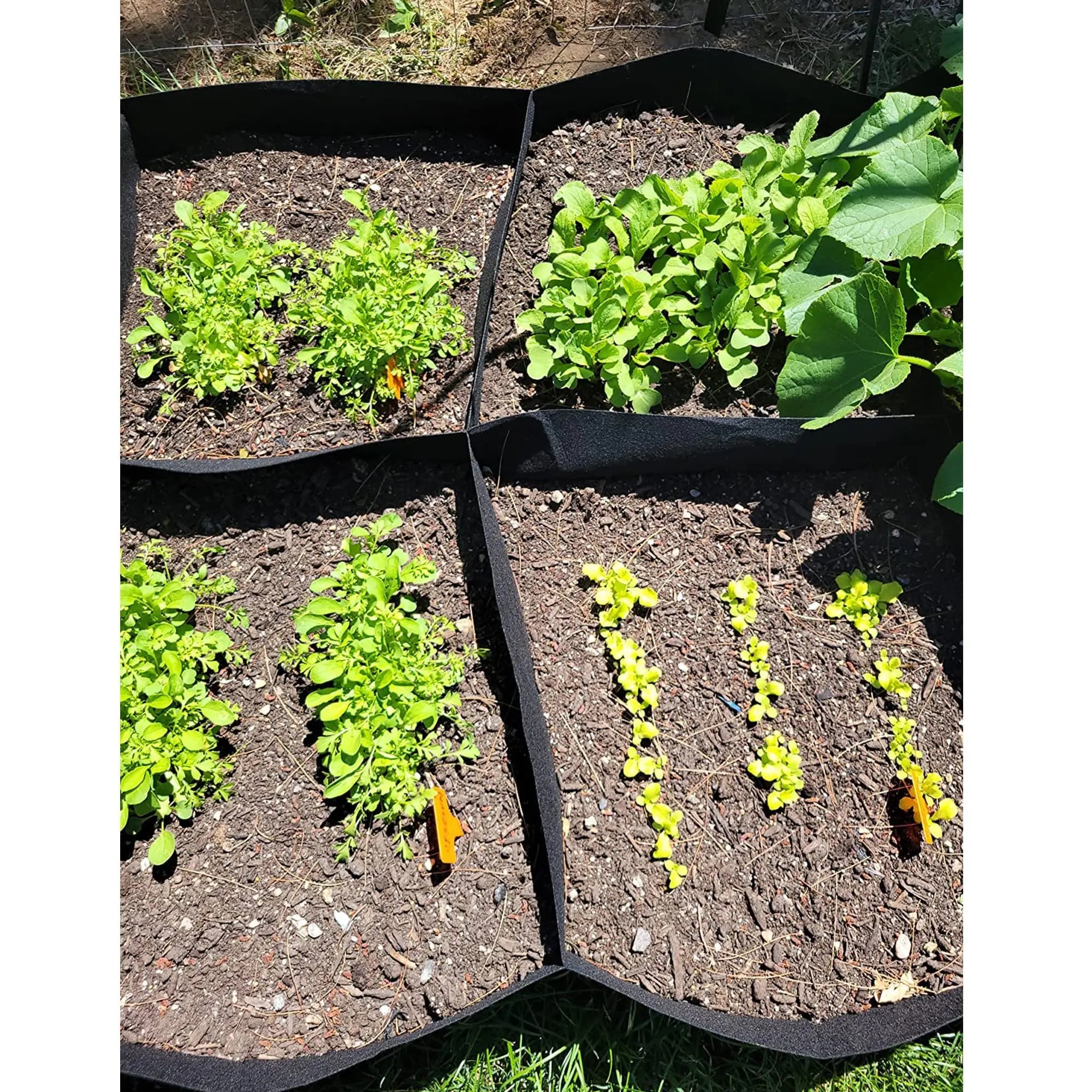 Fabric Raised Garden Bed Plant Grow Bags Planter Raised Beds for Growing Vegetables Potatoes Flowers Rectangle Planting Containe