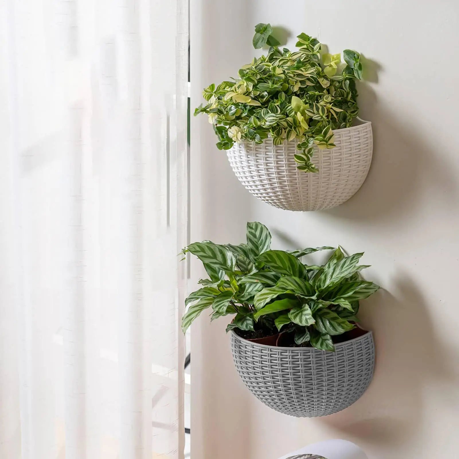 Semi-circular Flower Pot Wall-mounted No-punching Flower Basket Garden Planter Hanging Flowerpot Self watering For Home Decor