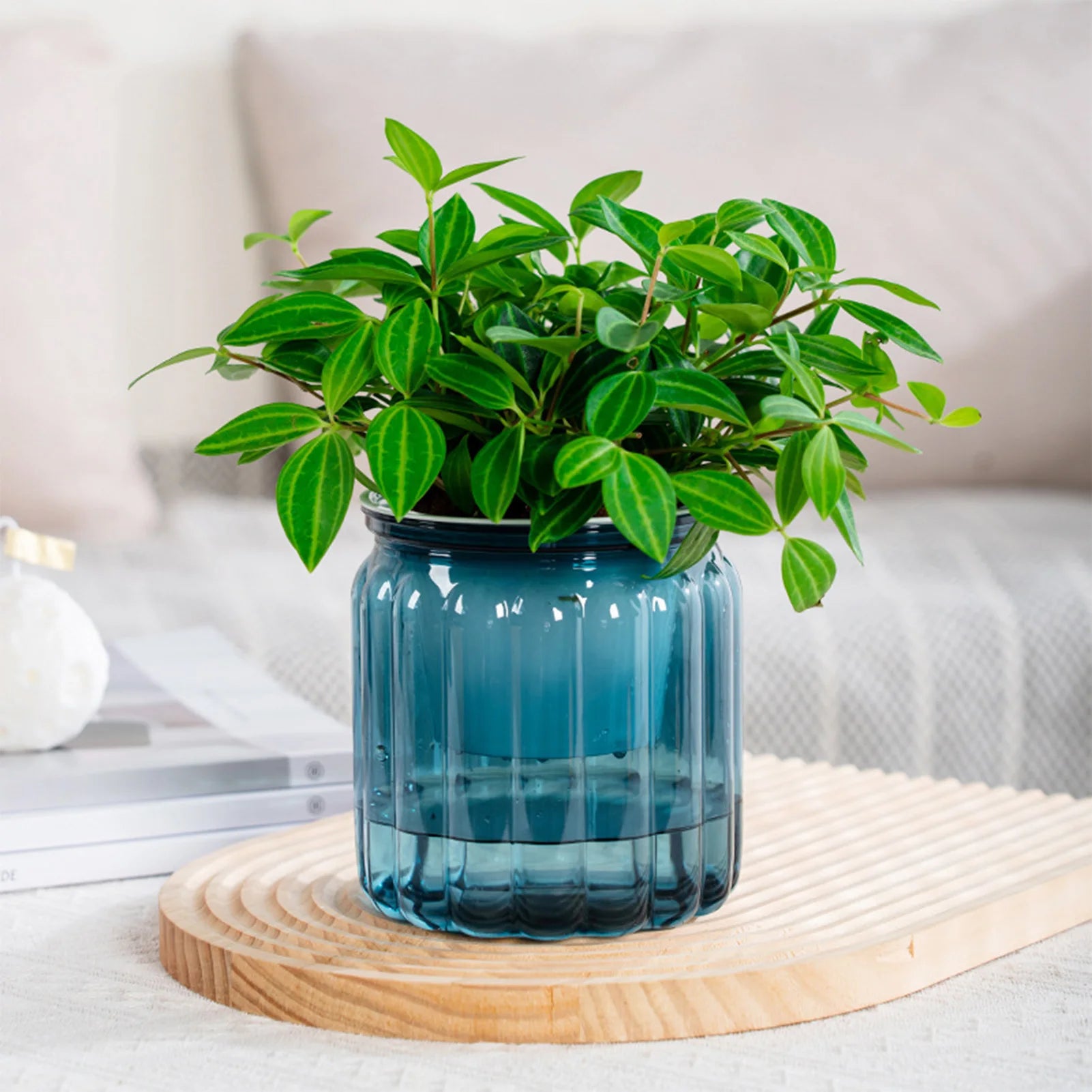 Elegant Self Watering Planter Delicate Modern Home Self Watering Flowerpot for Garden Enthusiast Lover Gift
