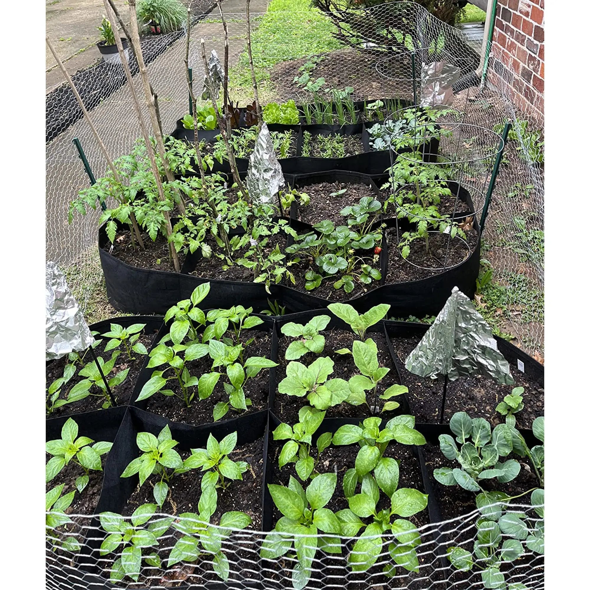 Fabric Raised Garden Bed Plant Grow Bags Planter Raised Beds for Growing Vegetables Potatoes Flowers Rectangle Planting Containe