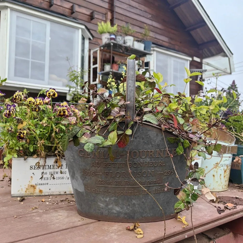 Metal Ironwork Flower Basket Home Furnishings Courtyard Tool Storage Hanging Basket Garden Balcony European Retro Style Decorate