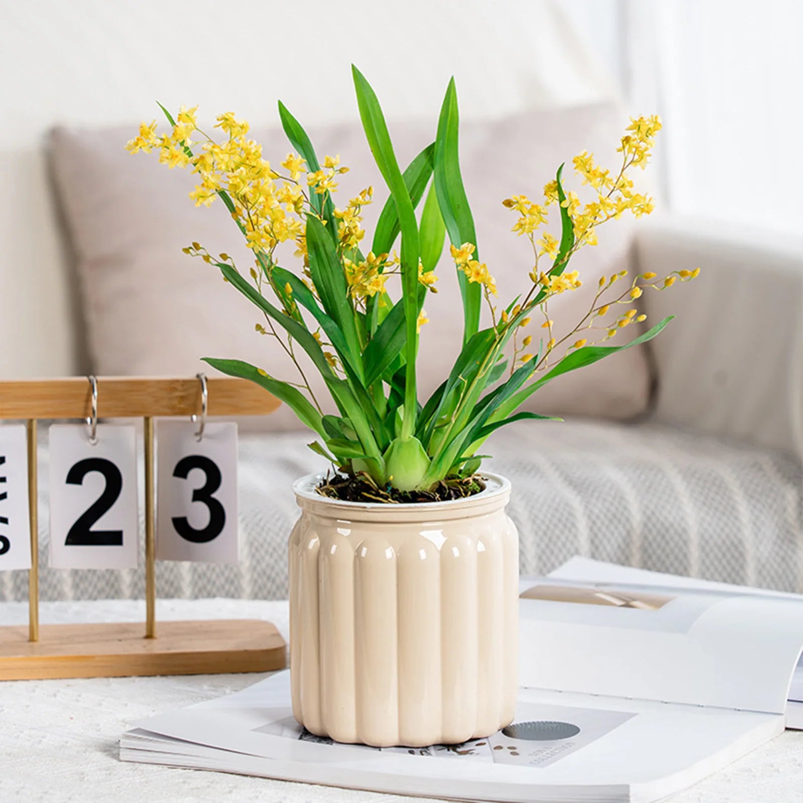 Elegant Self Watering Planter Delicate Modern Home Self Watering Flowerpot for Garden Enthusiast Lover Gift