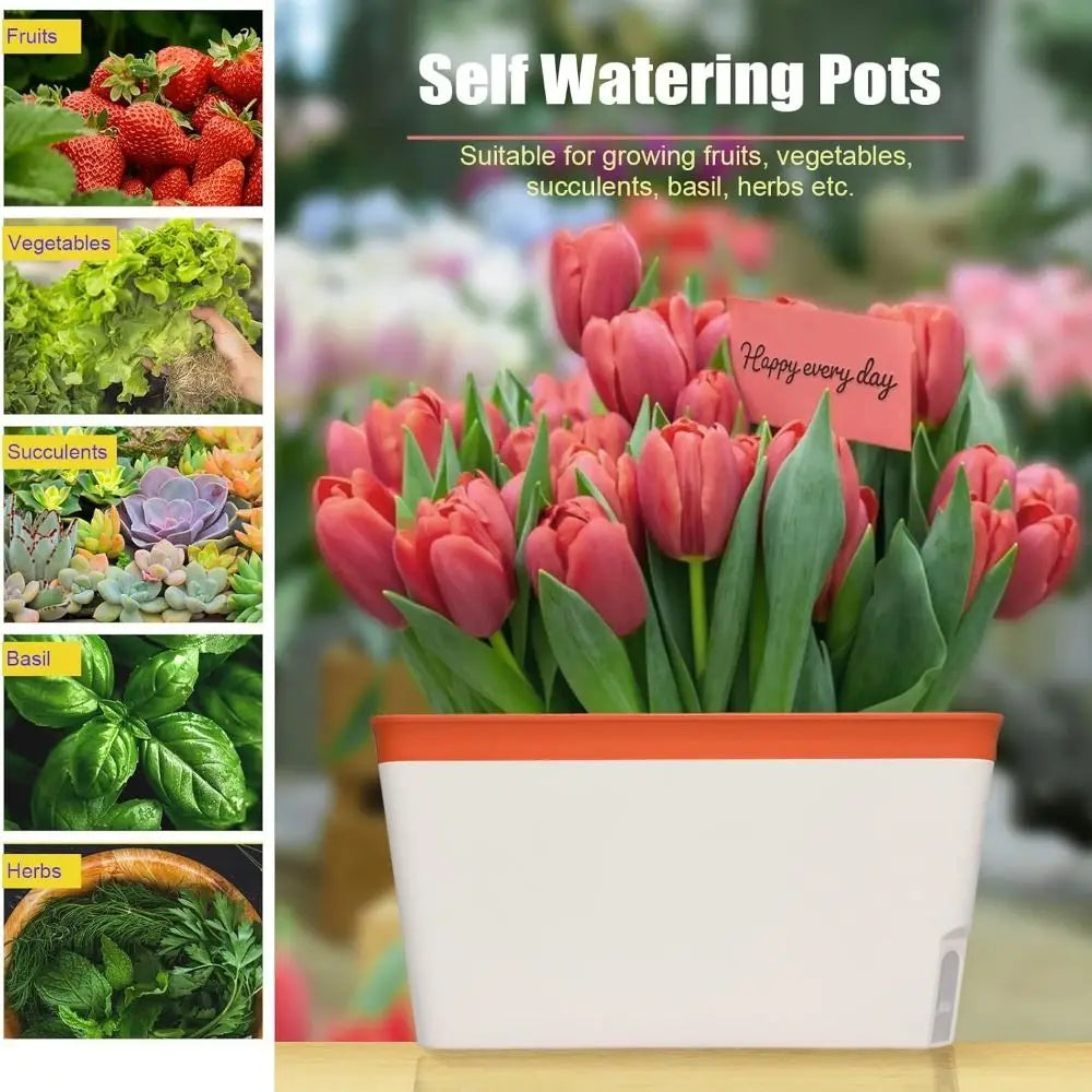Modern Self Watering Planter Pots Decorative Visual Water Level Window Indoor Planter Herb Planter Box Succulents Plants