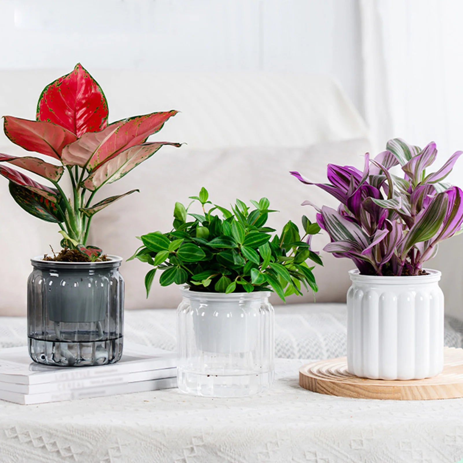 Elegant Self Watering Planter Delicate Modern Home Self Watering Flowerpot for Garden Enthusiast Lover Gift