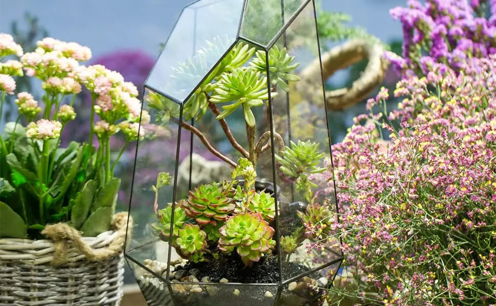 Home Garden Decoration Glass Planter Handmade Irregular Large Flower Pot 16inches Tall Geometric Glass Terrarium or Air Plants