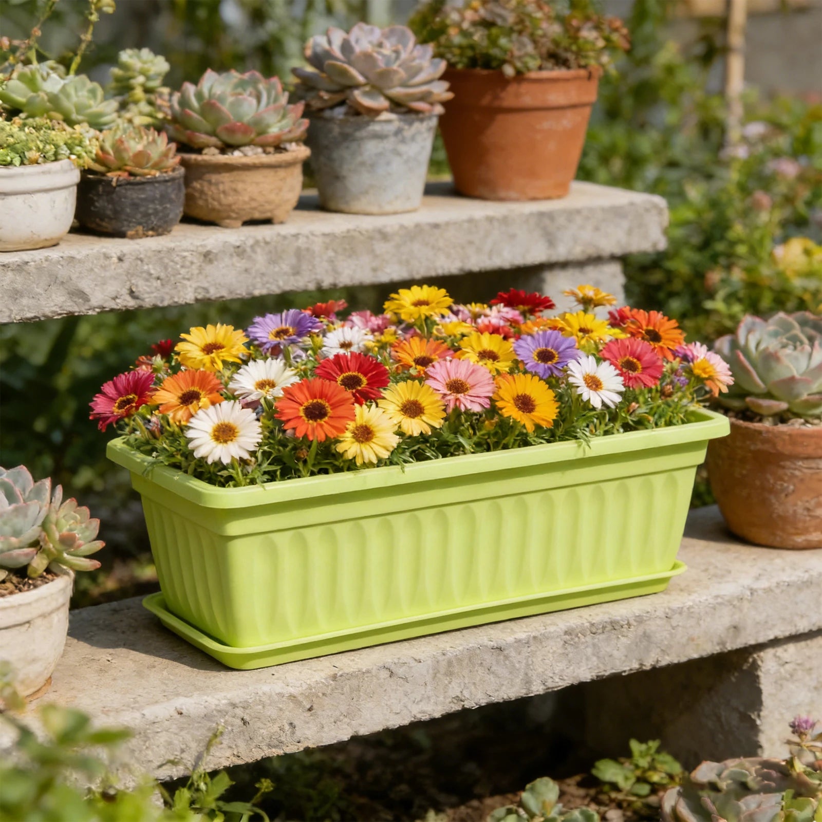 Rectangular Plastic Planter Box Multi-Color Flower Pot Versatile Gardening Container For Vegetables Herbs And Flowers