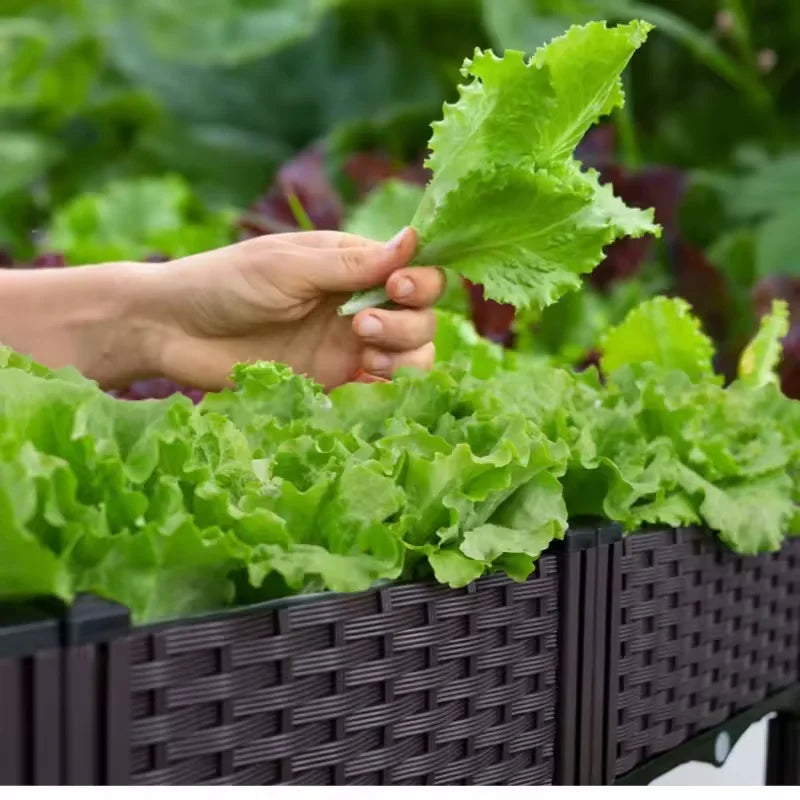 Self-Watering Planters Box Large For Balcony Garden Thickened Material Square Veg Planting Kit Modular Design Home Courtyard