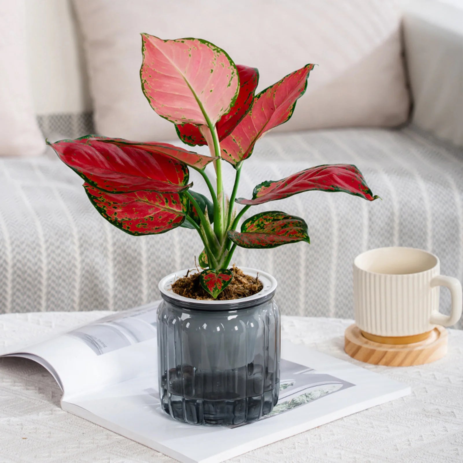 Elegant Self Watering Planter Delicate Modern Home Self Watering Flowerpot for Garden Enthusiast Lover Gift