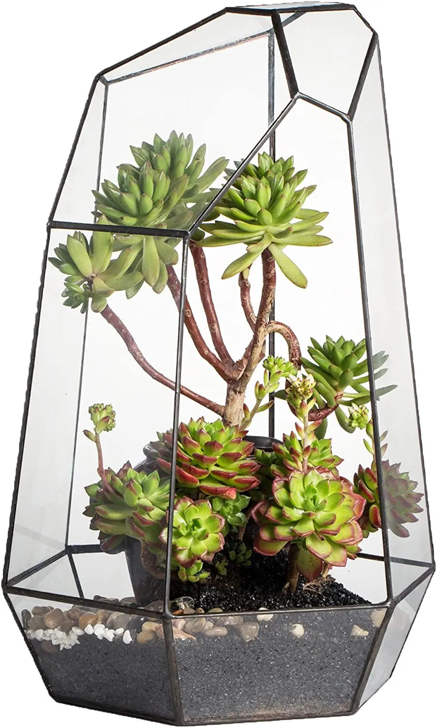 Home Garden Decoration Glass Planter Handmade Irregular Large Flower Pot 16inches Tall Geometric Glass Terrarium or Air Plants