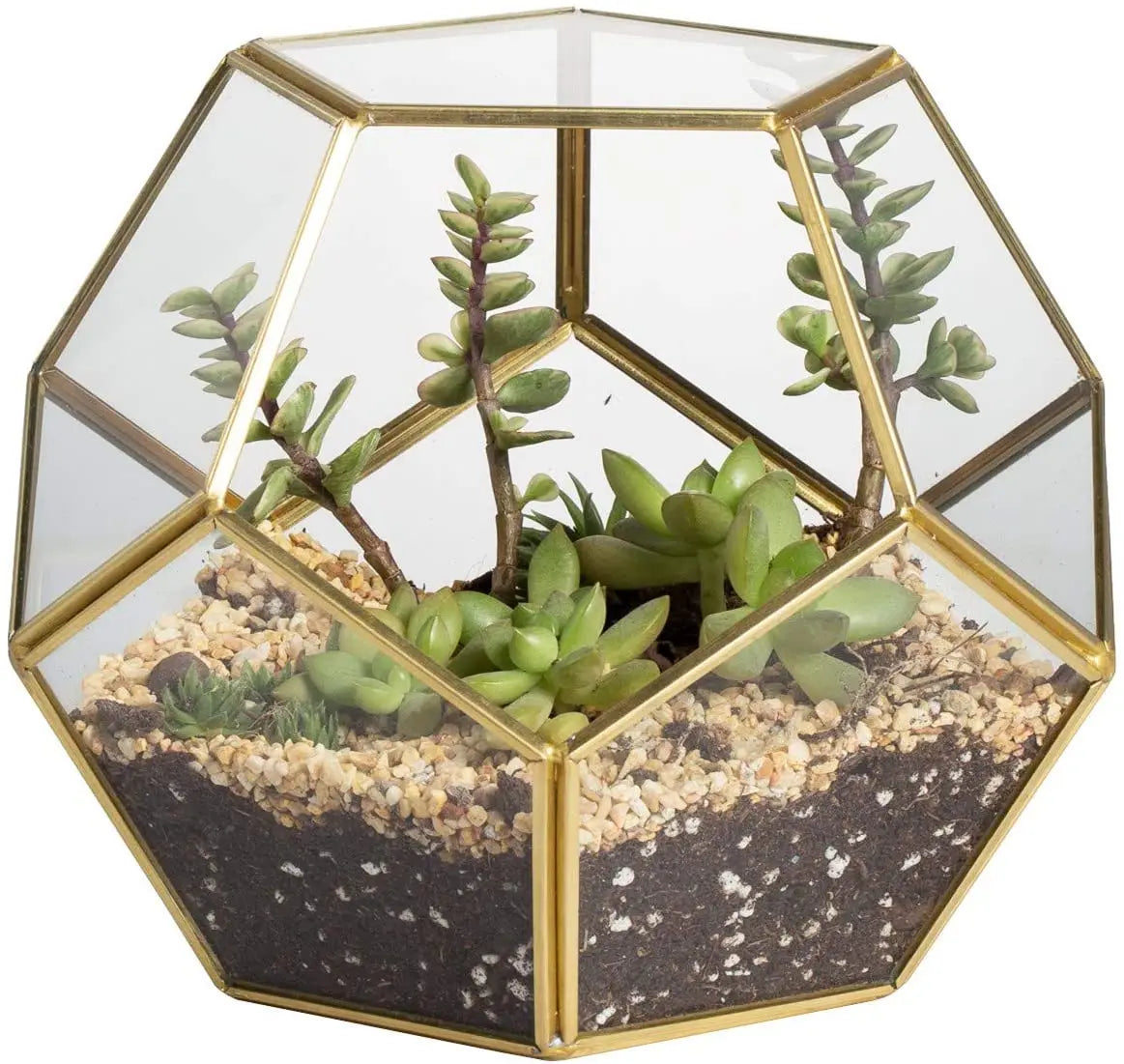 Home Garden Decoration Glass Planter Handmade Irregular Large Flower Pot 16inches Tall Geometric Glass Terrarium or Air Plants