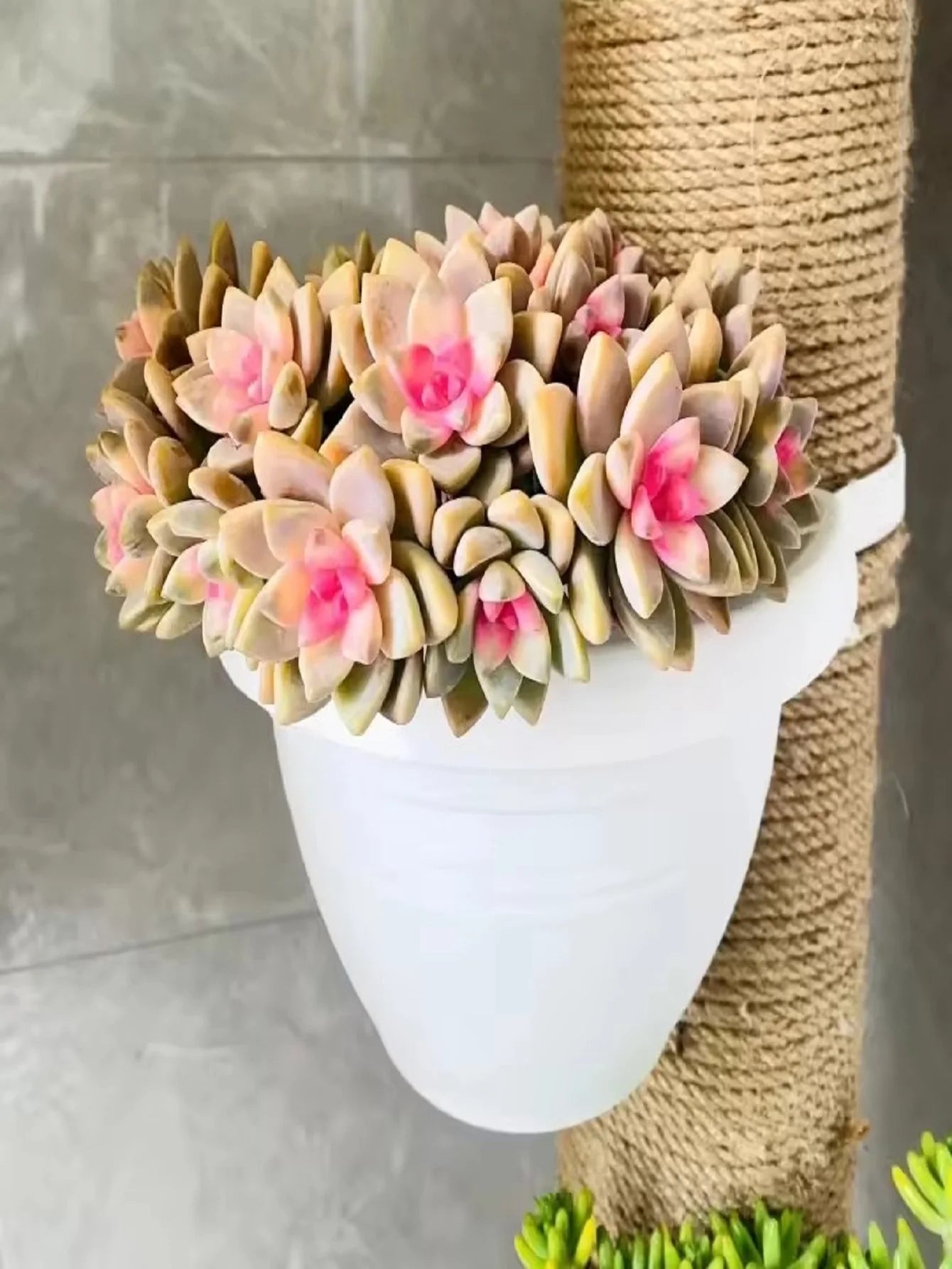Hanging Flower Pot Creative Basket Storage Gutter Downspout Flowerpot Indoor Useful Railing Hanging Planter Plastic Flower Pot