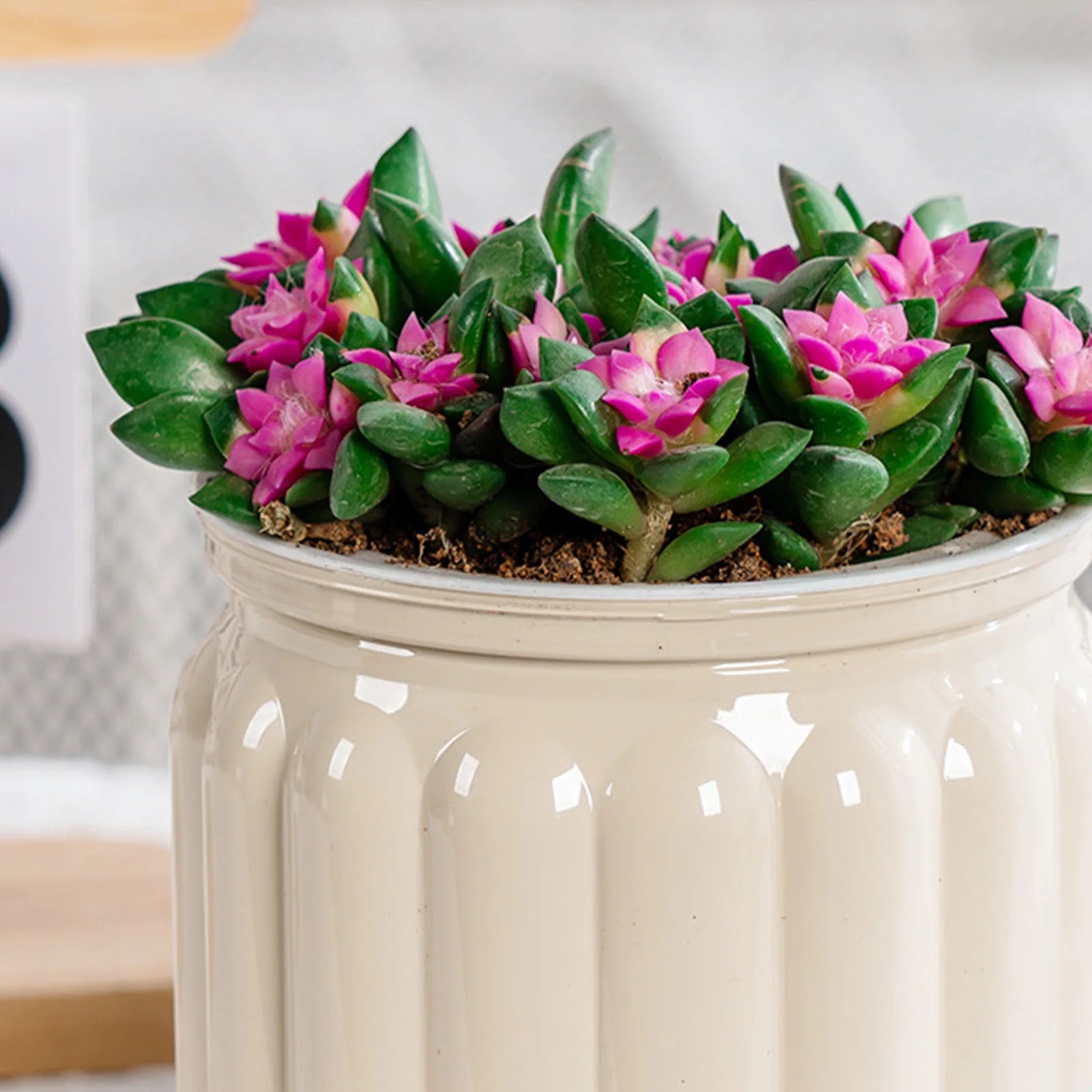Elegant Self Watering Planter Delicate Modern Home Self Watering Flowerpot for Garden Enthusiast Lover Gift