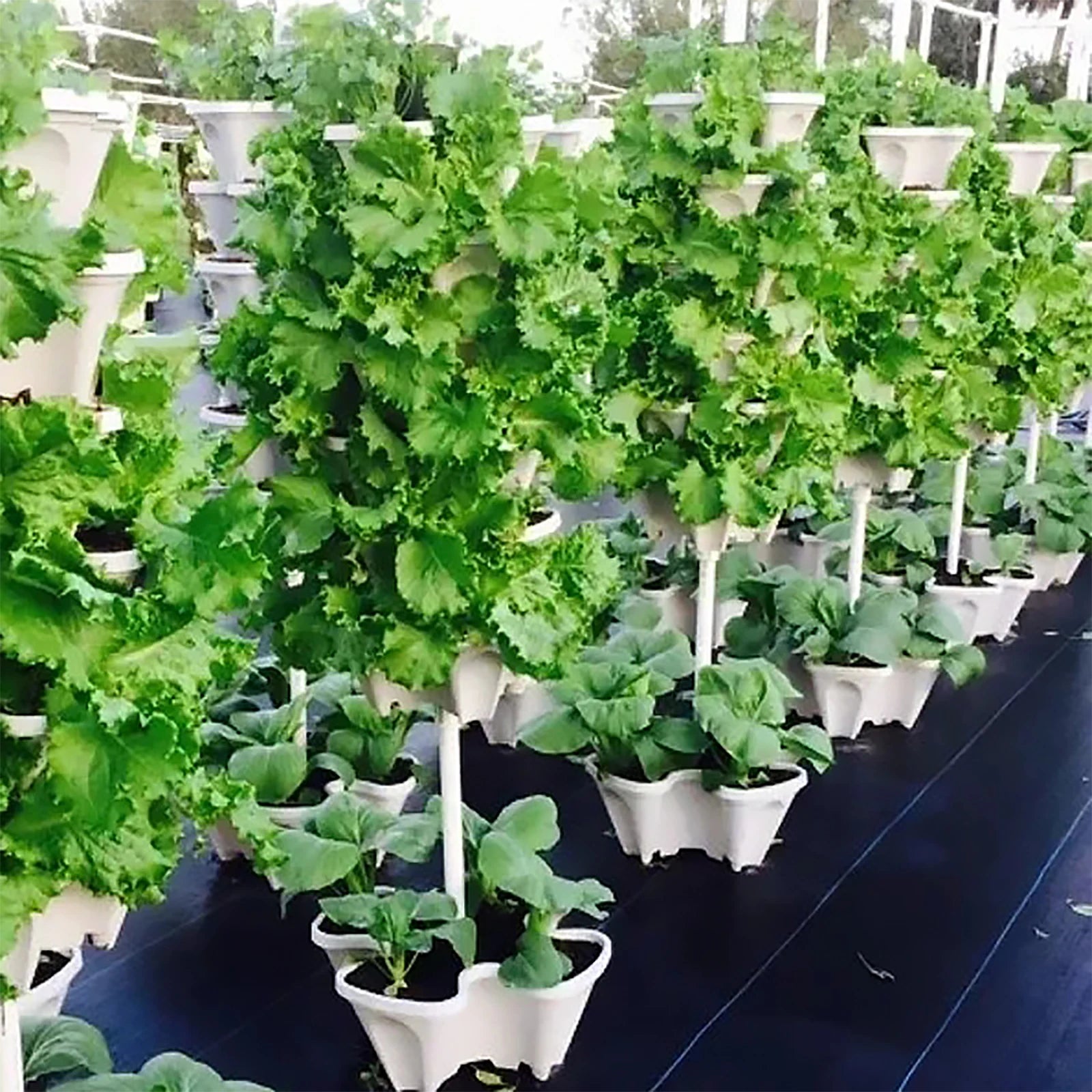 Stackable Vertical Planter Planting Nursery Pots for Garden Strawberry