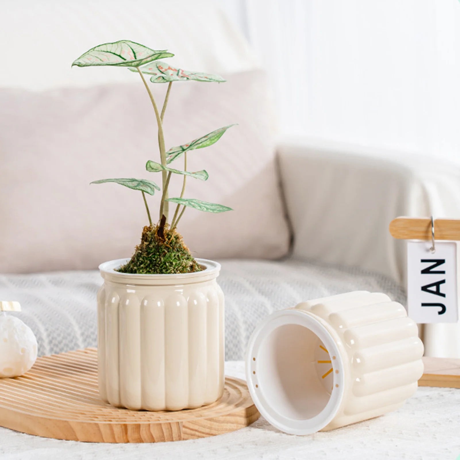 Elegant Self Watering Planter Delicate Modern Home Self Watering Flowerpot for Garden Enthusiast Lover Gift
