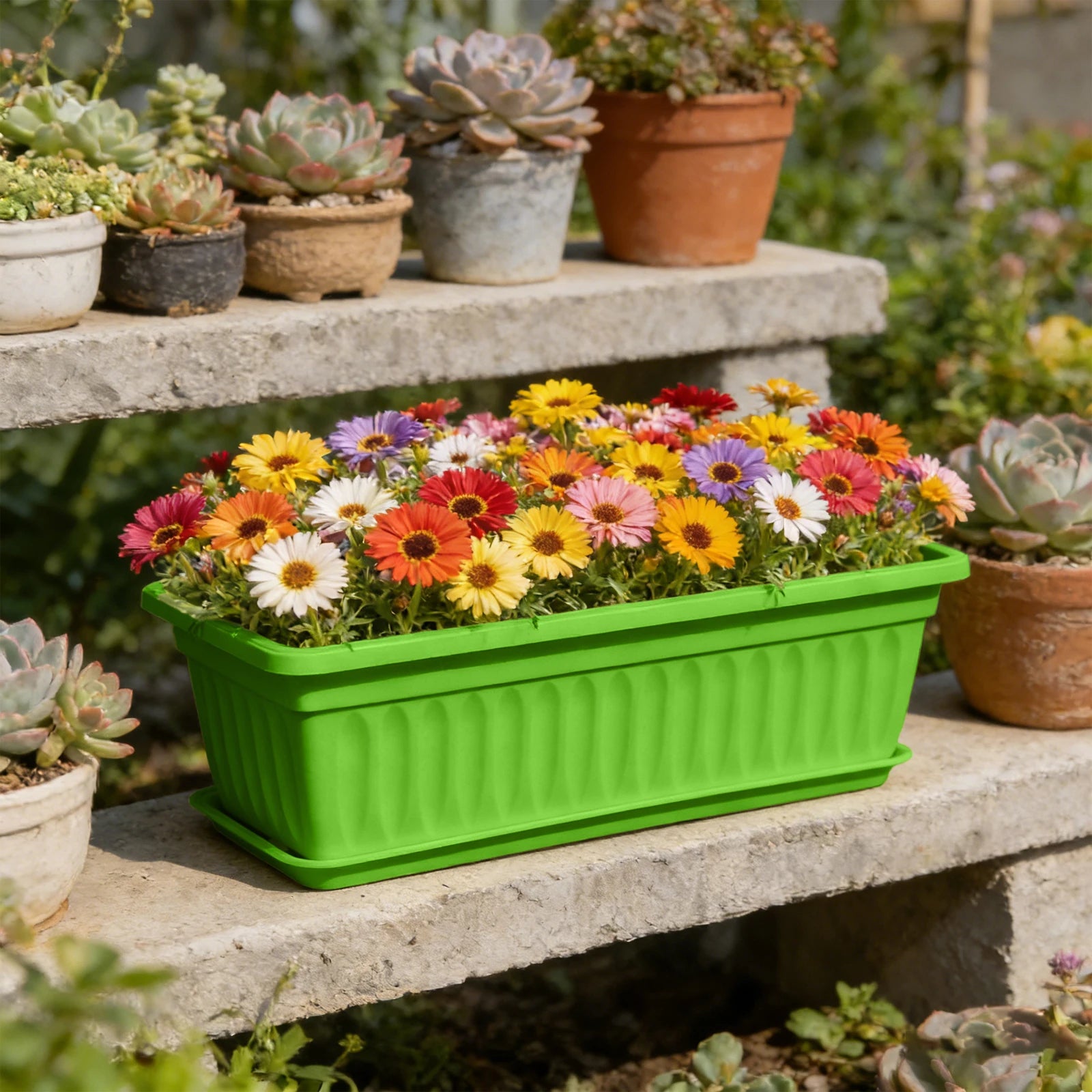 Rectangular Plastic Planter Box Multi-Color Flower Pot Versatile Gardening Container For Vegetables Herbs And Flowers