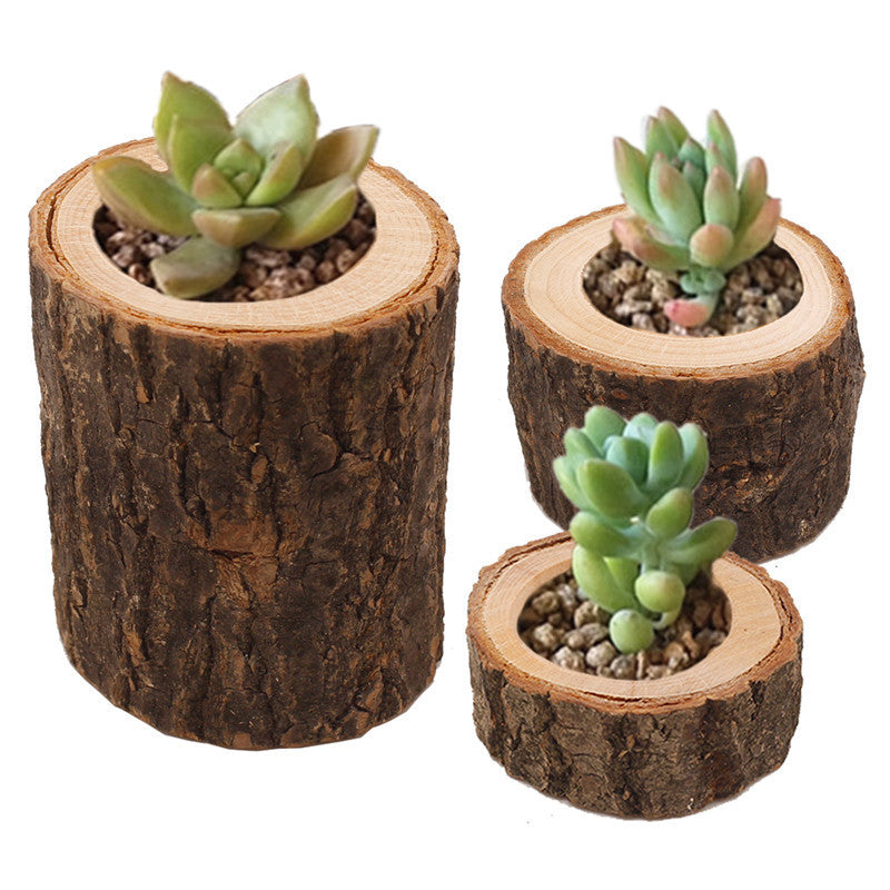 Succulent Flower Pots Semi-handmade Ornaments