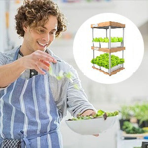 Pure Natural Bamboo Plant Growth Machine