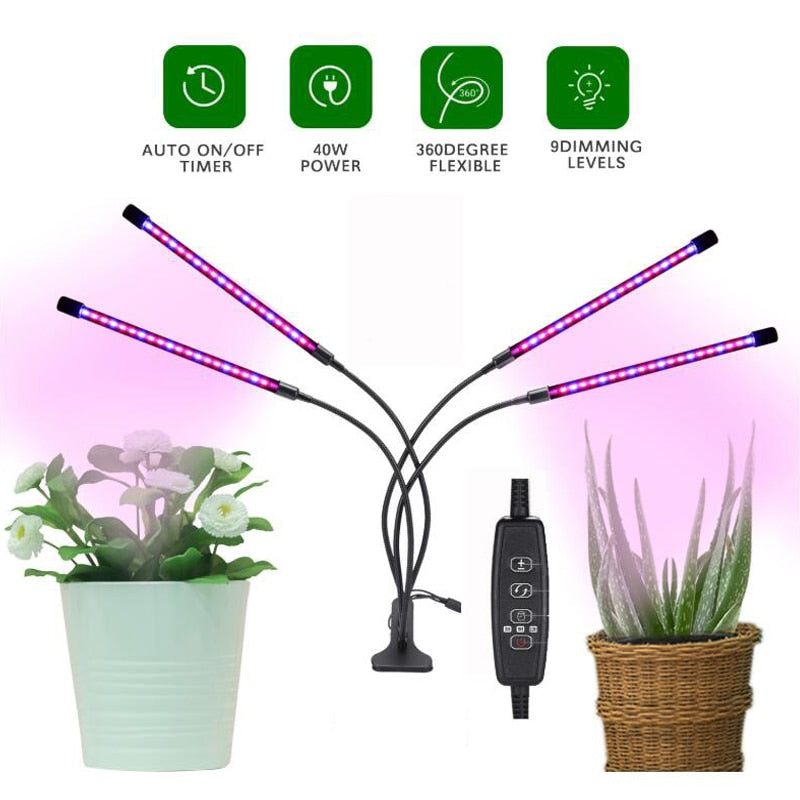Phyto Lamp Timer Full Spectrum USB Grow Light Lamp For Plants Full Spactrum Lights For Plants Garden Flowers Herbs Grow Box