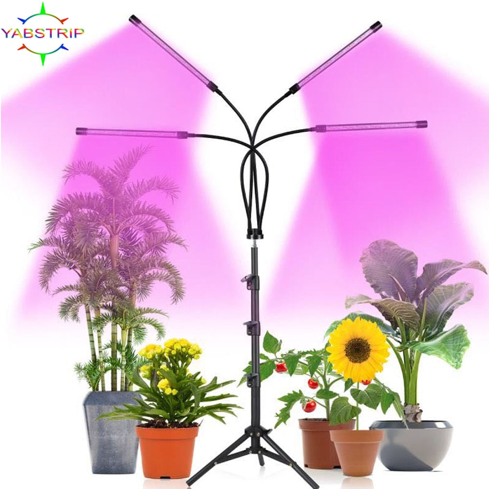 Phyto Lamp Timer Full Spectrum USB Grow Light Lamp For Plants Full Spactrum Lights For Plants Garden Flowers Herbs Grow Box